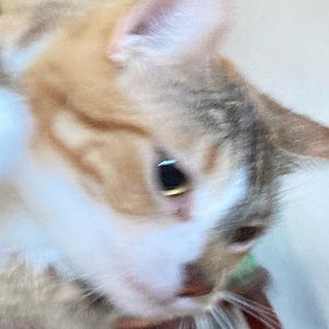 Meet your Posher, Marcela